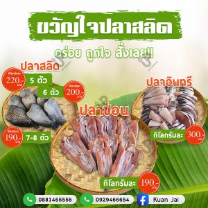 column 4-2 Ads with watermark 02